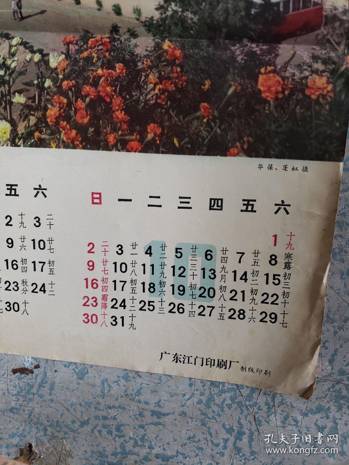 七十年代末覆膜月历纸一《江门市中国旅行社》