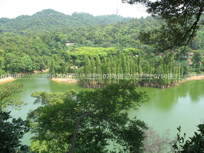 江门 江门市中国旅行社398元佛山南海2天1夜自驾游 优惠团购 - 0750团购网-江门团购网,美食团购,KTV团购