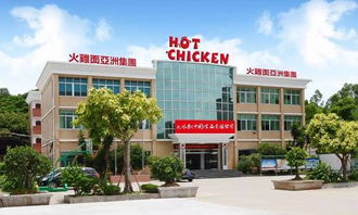 领航者,赢未来 火鸡面 中国 引领食品行业新风向 最火爆的产品都在这