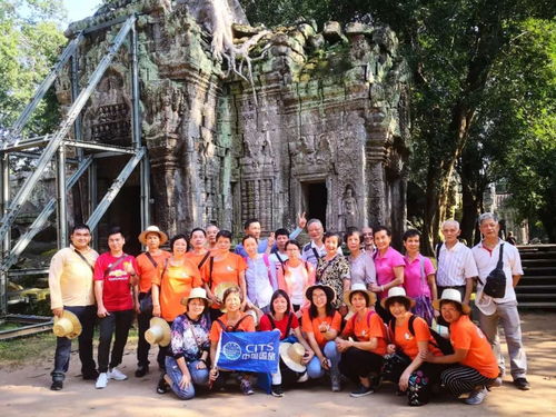 刚过去的这个国庆,江门国旅干了件大事,这还只是个开始