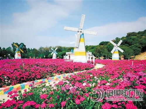 江门日报多媒体报刊