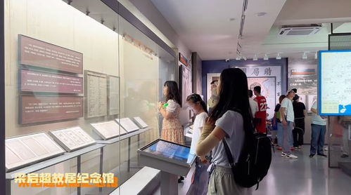 江门人气暴涨 通车后首个周末,到处是车车车人人人
