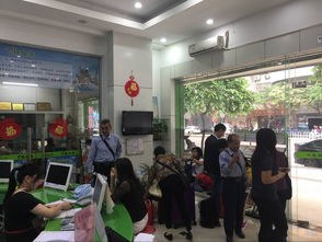 港珠澳大桥开通 江门旅行社纷纷推出特色旅游线路