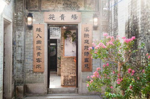五彩缤纷开 门 红,乐游蓬江过大年