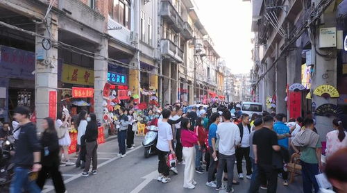 央视栏目大篇幅 全景式采访走进蓬江 狂飙 取景地 来蓬江旅行团持续火爆......