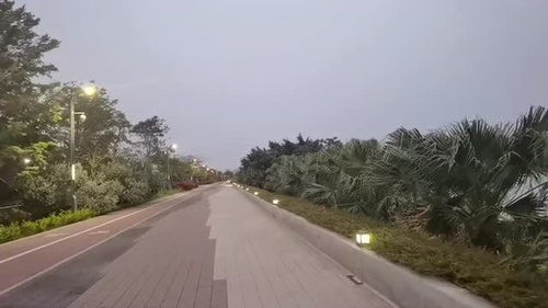江门旅游之潮连环岛路夜景
