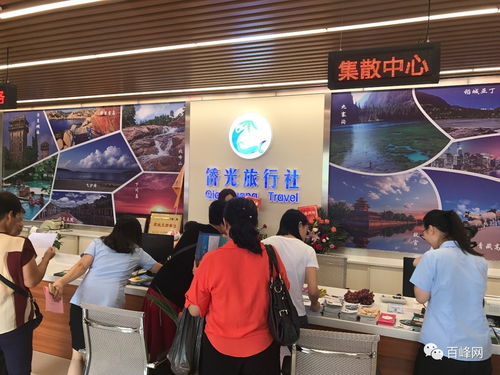 就在今天,台山市旅游集散中心投入运营啦