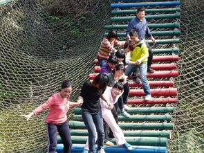 江门这家旅行社凭啥这么牛？每年吸引超10万人报团